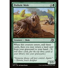 Pothole Mole