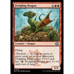 Fledgling Dragon