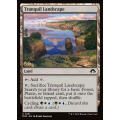 Tranquil Landscape