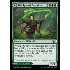 Disciple of Freyalise // Garden of Freyalise