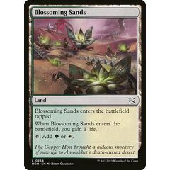 Blossoming Sands