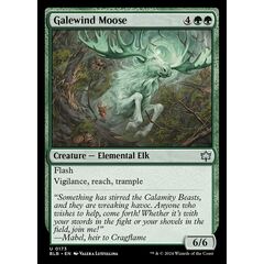 Galewind Moose