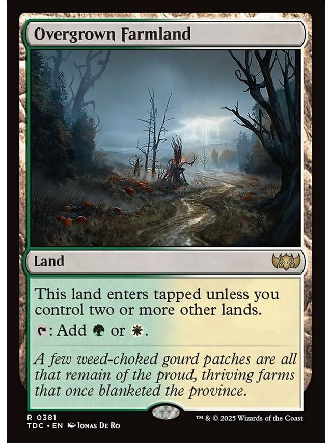 Overgrown Farmland