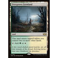 Overgrown Farmland