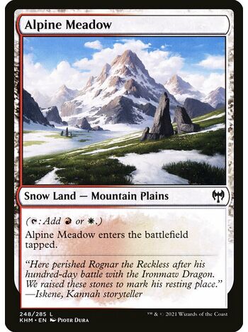 Alpine Meadow