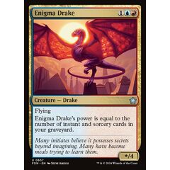 Enigma Drake