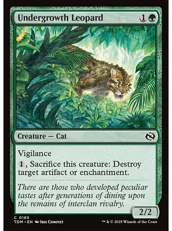 Undergrowth Leopard