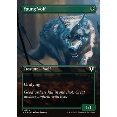 Young Wolf