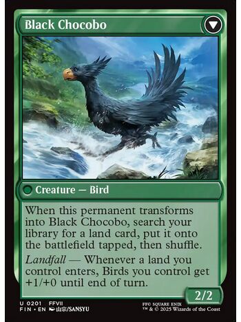 Sidequest: Raise a Chocobo // Black Chocobo
