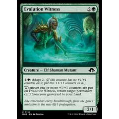 Evolution Witness