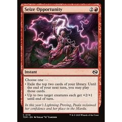 Seize Opportunity