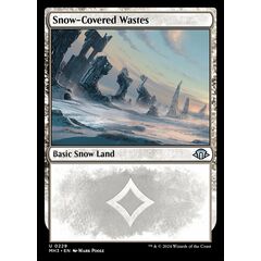 Snow-Covered Wastes