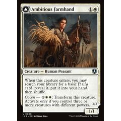 Ambitious Farmhand // Seasoned Cathar