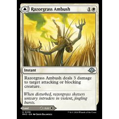 Razorgrass Ambush // Razorgrass Field