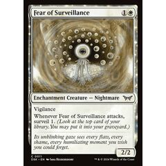 Fear of Surveillance