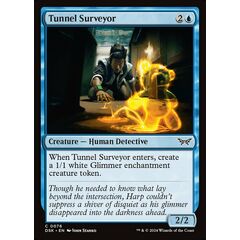 Tunnel Surveyor