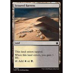 Scoured Barrens