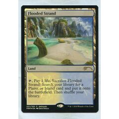 Flooded Strand