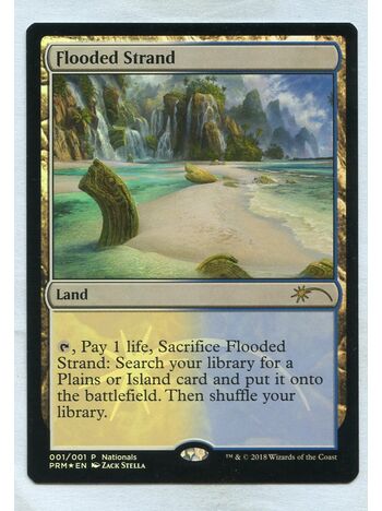 Flooded Strand