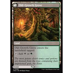 Revitalizing Repast // Old-Growth Grove