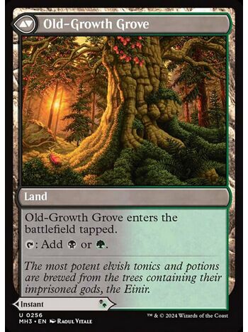 Revitalizing Repast // Old-Growth Grove