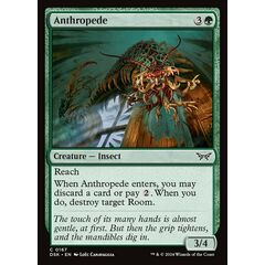 Anthropede