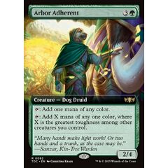 Arbor Adherent