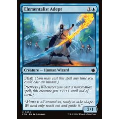 Elementalist Adept