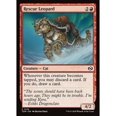 Rescue Leopard